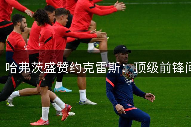 哈弗茨盛赞约克雷斯：顶级前锋间的完美配合