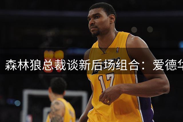 森林狼总裁谈新后场组合：爱德华兹与鲍尔将擦出快乐火花