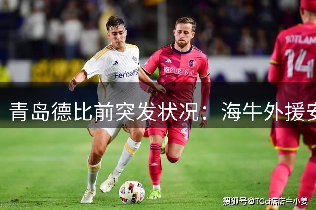青岛德比前突发状况：海牛外援安杰尔科维奇缺席关键适应性训练